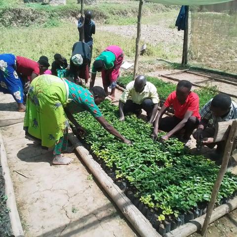 community members working on their tree nursery bed 